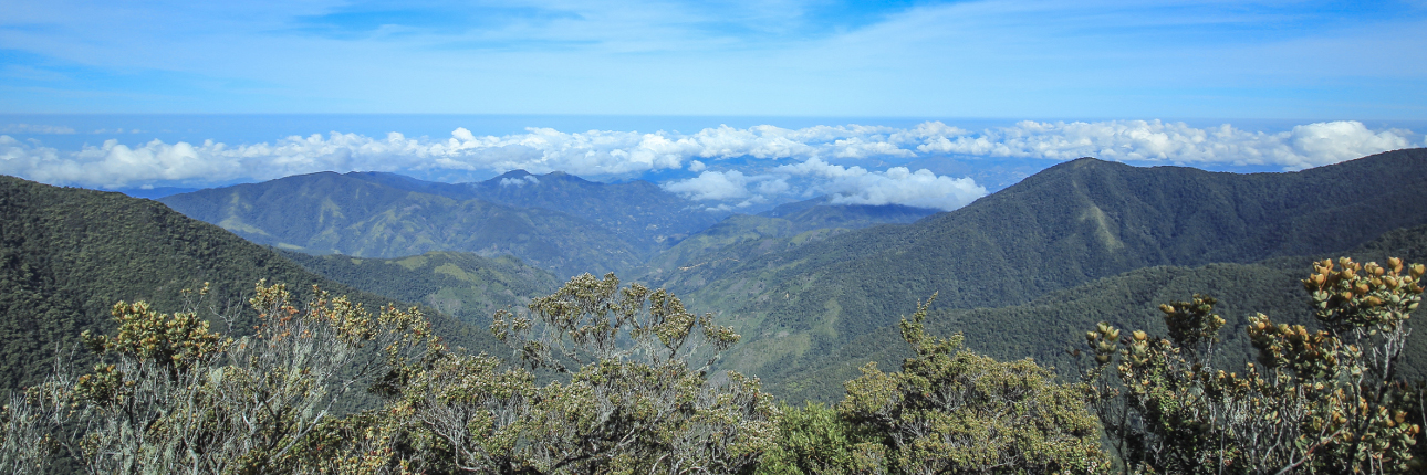 Gunung